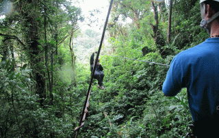 Canopy en Monteverde, Costa Rica