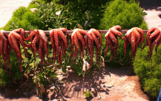 Grilled octopus en las islas Cícladas