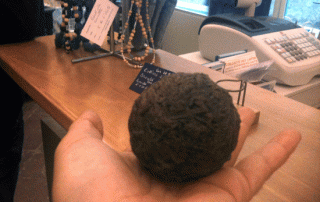 Cocagna de tinte pastel, Toulouse