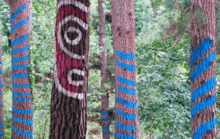 Bosque de Oma, valle pintado de Ibarrola